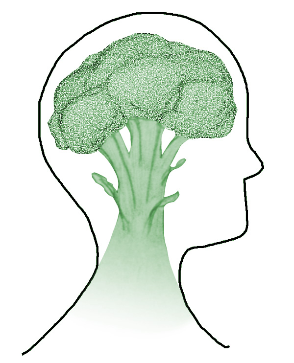 Brain and broccoli image
